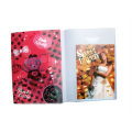 Flip Efeito 3D Plastic File Folder